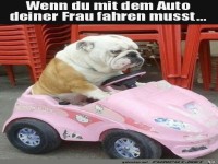 Rosa Auto