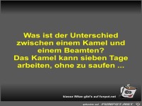 Was ist der Unterschied zwischen einem Kamel und einem...