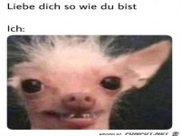 Was f�r ein Kompliment
