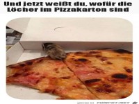 Das Loch im Pizzakarton