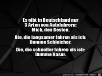 Drei Arten von Autofahrern