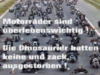 �berlebenswichtig