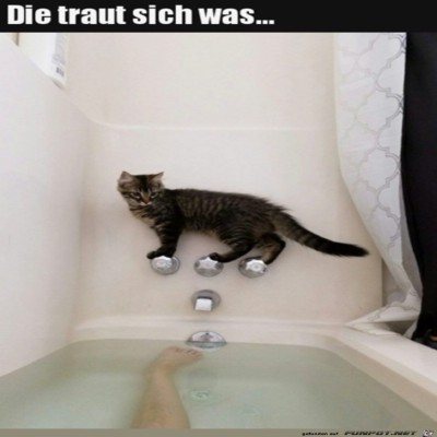 Die-traut-sich-was.jpg von Brenda