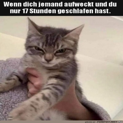 Zu-fr&uuml;h-geweckt.jpg von Theda