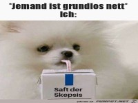 Grundlos nett