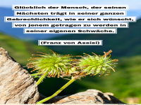 Glcklich der Mensch, der trgt