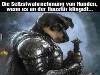 Humorvolle Hundewahrnehmung bei Haust�rklingeln