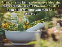 Pflanzen und ihre historische Bedeutung