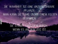 Wahrheit: Hartnckiger als Unkraut!