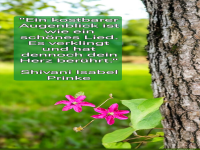 ein kostbarer augenblick