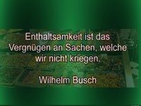 enthaltsamkeit ist das vergn�gen
