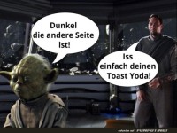 Die dunkle Seite