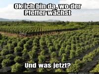 Pfeffer-Expedition ins Ungewisse