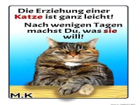 die einzige erziehung