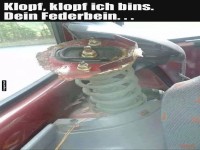 Ein �berraschender Besuch im Auto!