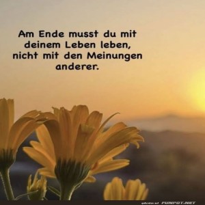 Blumenweisheit-am-Sonnenuntergang.jpg von Gregor