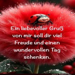 Glückskäfer-auf-Blumenmission!.jpg von Gregor