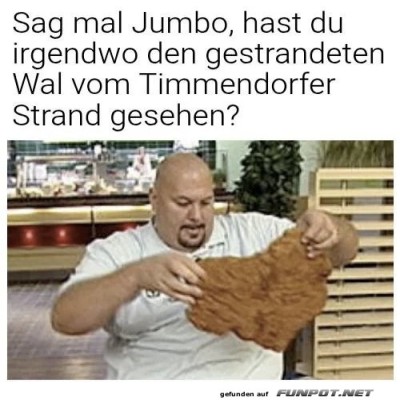 Auf-der-Suche-nach-dem-Landwal.jpg von Justus2002