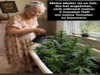 Tomatenpflege oder geheimnisvoller Garten?