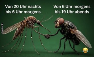 Teamwork-der-nervigen-Insekten!.jpg auf www.funpot.net