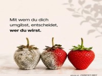 Erdbeer-Gesellschaft mit Schimmel-Gefahr
