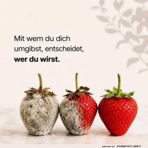 Erdbeer-Gesellschaft-mit-Schimmel-Gefahr.jpg von Elijas1995