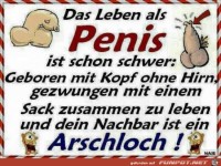 das Leben als Penis