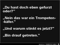 Trompetenkäfer