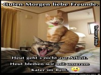 Guten Morgen liebe Freunde
