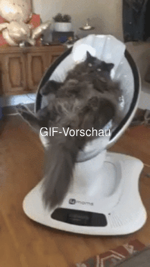 Lustige bilder gif wochenende