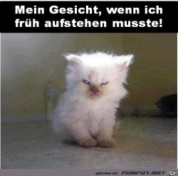 Fr�h-aufstehen.jpg auf www.funpot.net