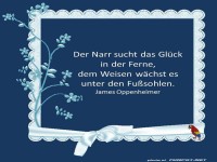 Der Narr sucht das Glueck