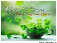 Neuer Tag neues Glueck