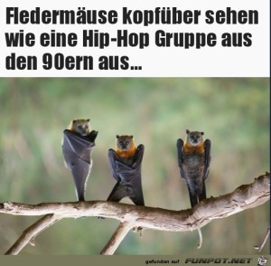 Hip-Hop-Gruppe-aus-den-90ern.jpg auf www.funpot.net
