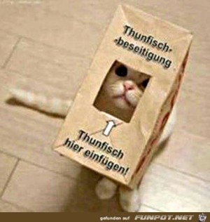 Katze-mit-Thunfisch-T�te.jpg auf www.funpot.net
