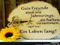 Gute Freunde sind wie Jahresringe