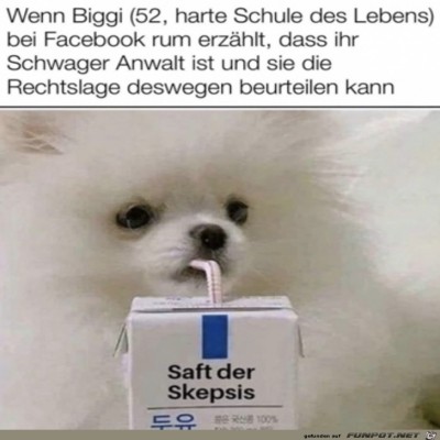 Skepsis-ist-da.jpg von Ida