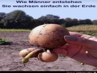 Wie Männer entstehen