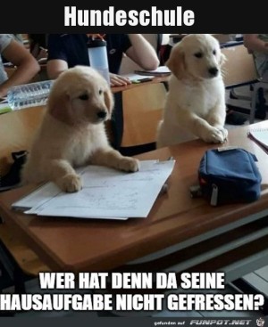 Hundeschule.jpg auf www.funpot.net