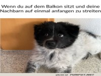 Wenn sich die Nachbarn pl�tzlich streiten