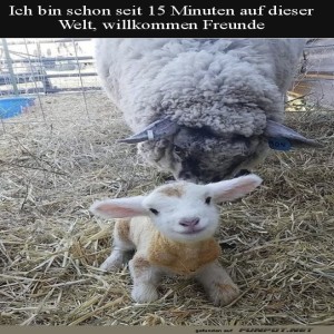 herz-Bild: Wie süß