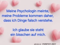 Verwirrte Missverst�ndnisse