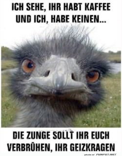 Emu-ohne-Kaffee-mit-witzigem-Spruch.jpg auf www.funpot.net