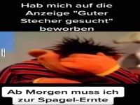 Missverst�ndnis bei Stellenanzeige