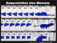 Kreative Katzenillustration auf Milchpackungen