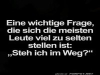 Eine wichtige Frage, die selten gestellt wird
