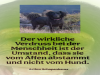 weiter