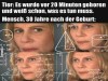 weiter