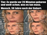 Wenn Tiere alles sofort checken