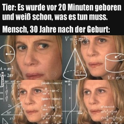 Wenn-Tiere-alles-sofort-checken.jpg von Jolie1976